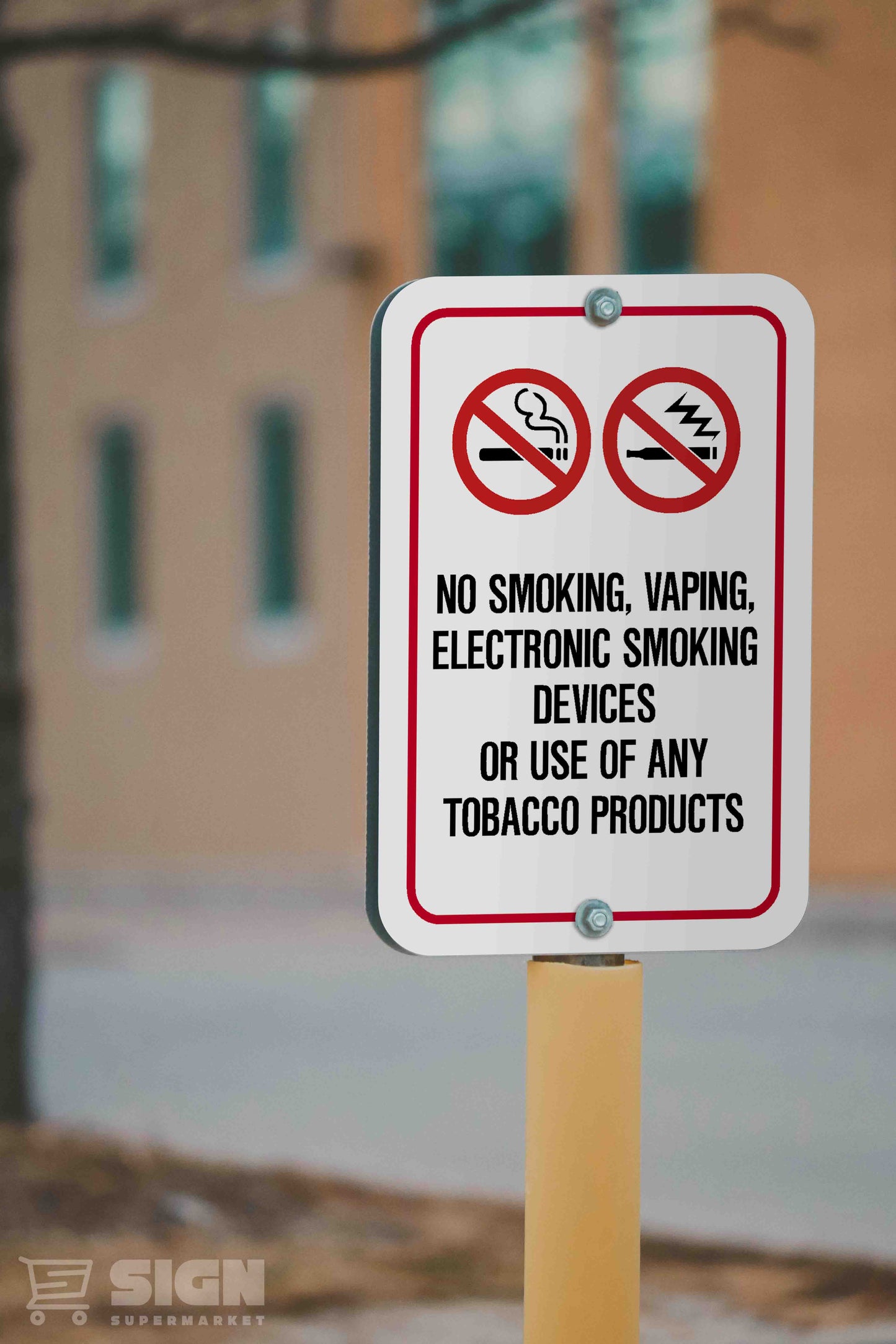 No Smoking 12" x 18"