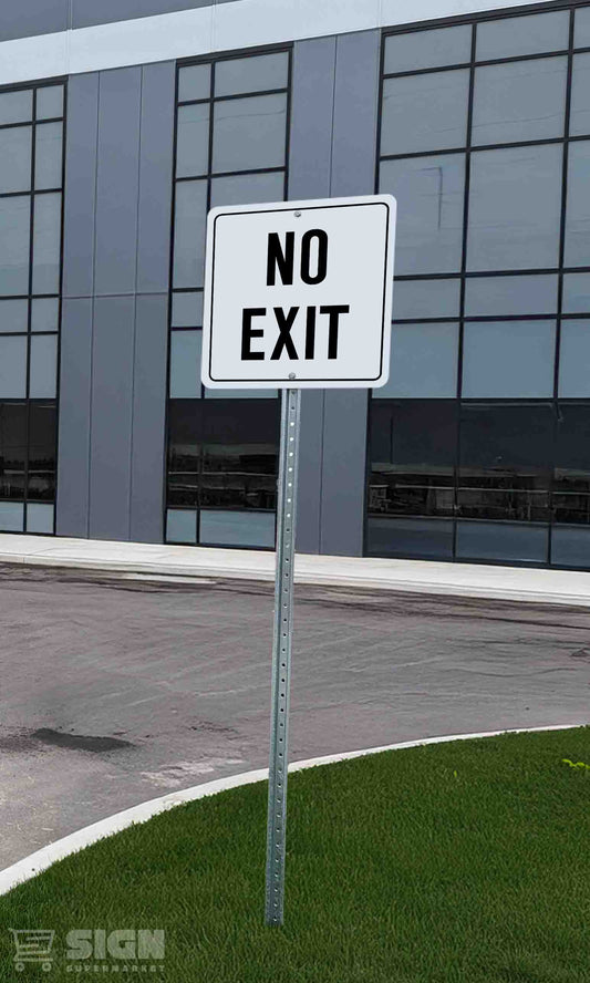 No Exit 24" x 24"