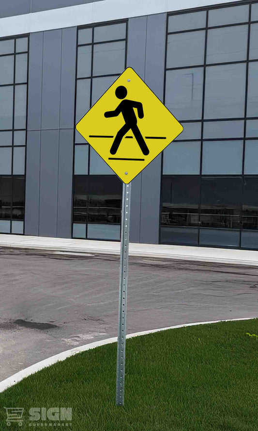 Pedestrian 24" x 24"