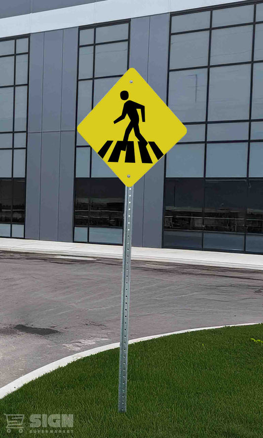 Pedestrian 25" x 24"